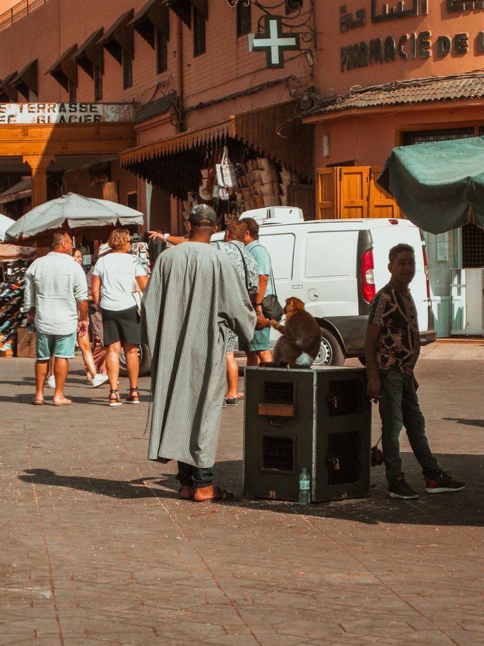 A vibrant street scene featuring people, a monkey, and architectural details in a bustling marketplace.